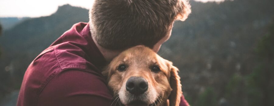 La empatía de un perro