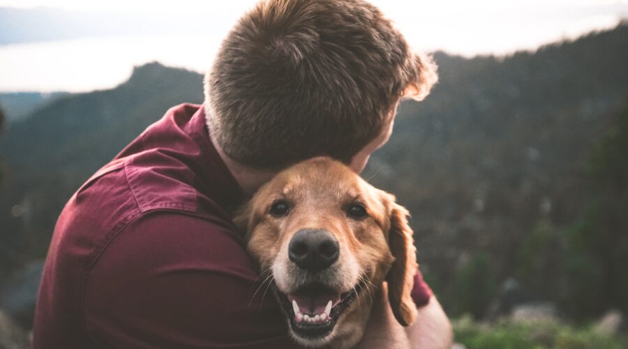 La empatía de un perro