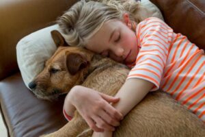 El Mejor Hospedaje Canino en Lima: Más Que un Hotel, una segunda Familia para Tu Perro