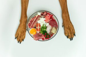 Comparación de comida seca industrial con comida natural para perros