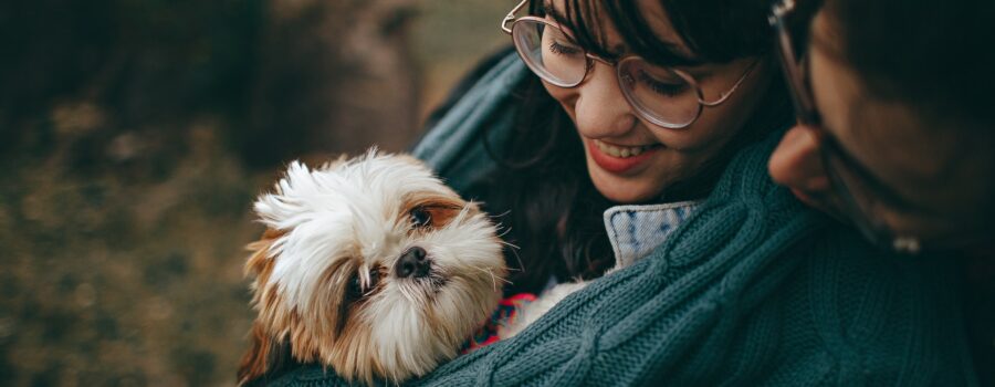 Viajar con tu perro puede ser una experiencia maravillosa si se planifica adecuadamente. La preparación es clave para asegurar que el viaje sea seguro, cómodo y agradable para ambos. A continuación, te presentamos una guía detallada sobre cómo prepararte para viajar con tu perro.