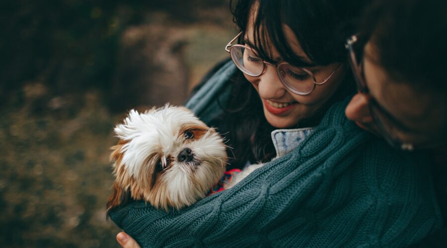Viajar con tu perro puede ser una experiencia maravillosa si se planifica adecuadamente. La preparación es clave para asegurar que el viaje sea seguro, cómodo y agradable para ambos. A continuación, te presentamos una guía detallada sobre cómo prepararte para viajar con tu perro.