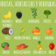 Lista de las frutas y verduras que son importantes en la alimentación de tu perro