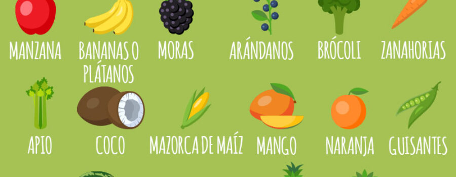 Lista de las frutas y verduras que son importantes en la alimentación de tu perro