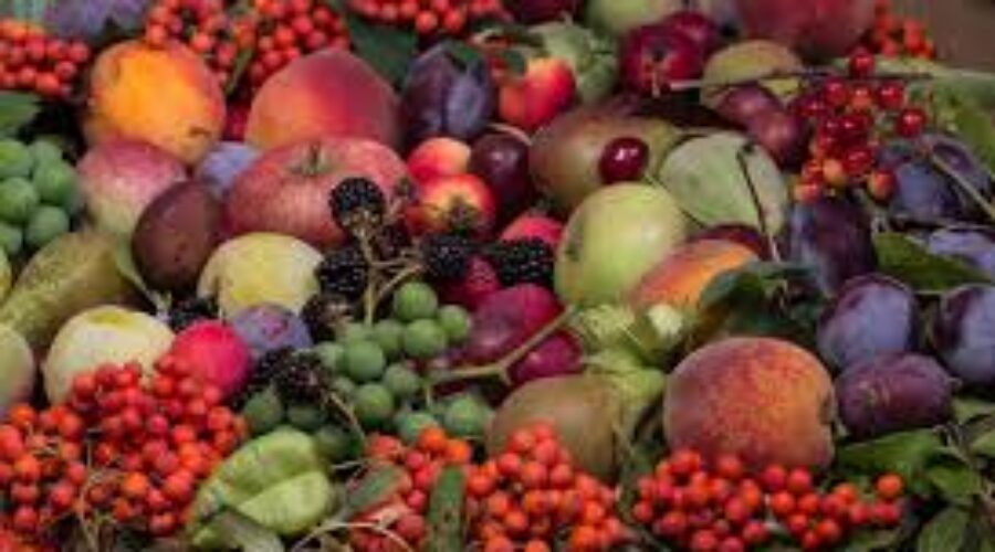 50 frutas importantes para tu perro
