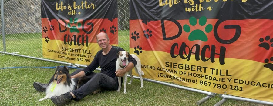 En Dog Coach Expert contamos con un equipo especializado en la formación y bienestar integral de los perros.