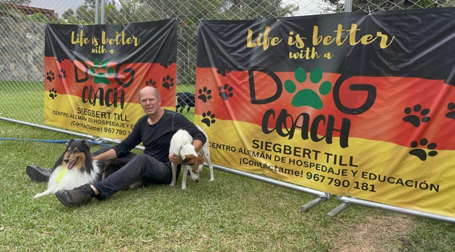 Por qué enviar a tu perro a Dog Coach Expert para desestresarse y volver a la armonía natural