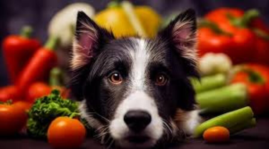 50 verduras qué puede comer tu perro