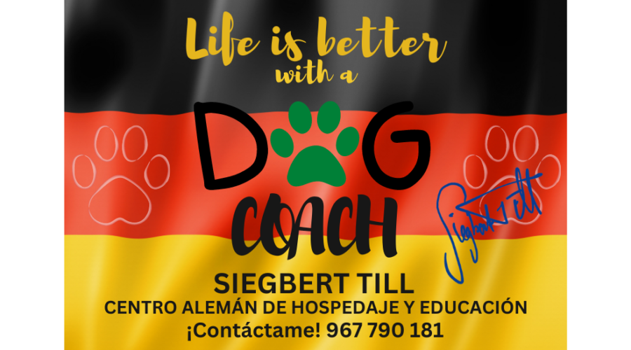 Centro de educación, adiestramiento y socialización canina en Lima.