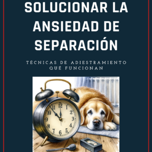 La ansiedad por separación es uno de los problemas más angustiosos tanto para perros como para sus dueños.