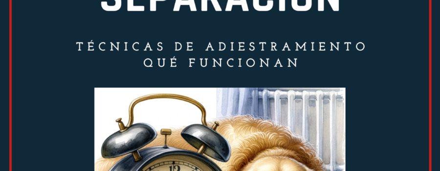 La ansiedad por separación es uno de los problemas más angustiosos tanto para perros como para sus dueños.