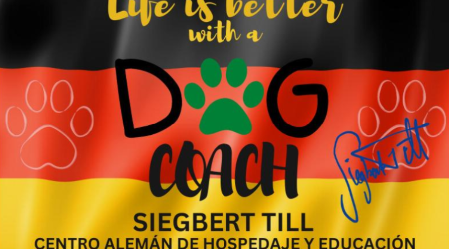 Transformación Canina Integral en Dog Coach Expert