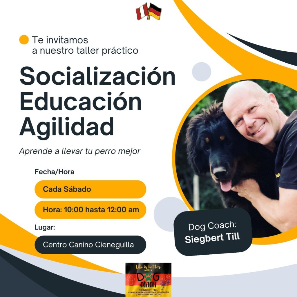 Nuestro servicio de coaching está diseñado para abordar tus necesidades específicas, ya sea de manera presencial o virtual.