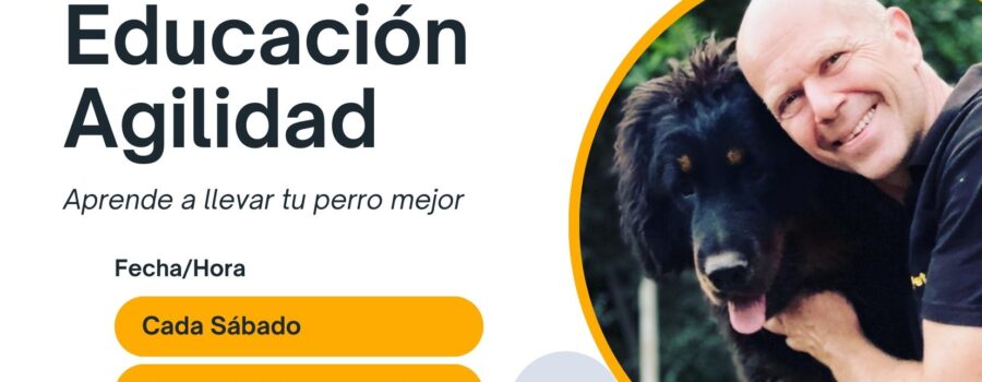 Los fines de semana de entrenamiento y socialización en Dog Coach Expert