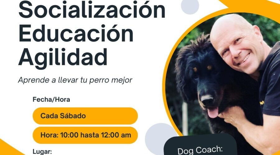 Nuestro servicio de coaching está diseñado para abordar tus necesidades específicas, ya sea de manera presencial o virtual.