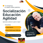 Taller Presencial de Agilidad en el Centro Canino Alemán