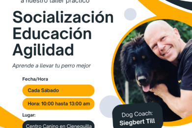 Taller Presencial de Agilidad en el Centro Canino Alemán