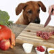 Fundamentos de la Nutrición Canina