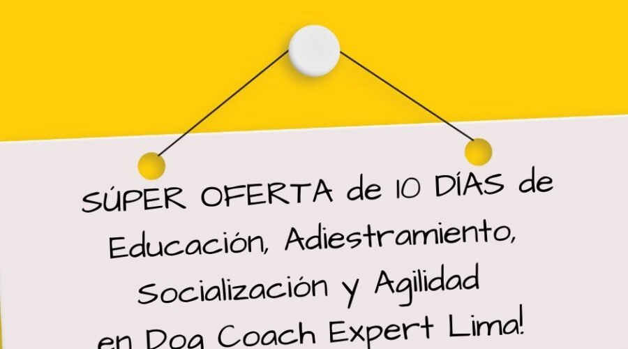 ¡Una Oportunidad Irresistible para el Bienestar de tu Perro por Solo 970 Soles!