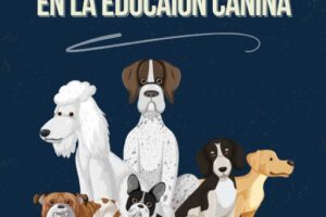 La socialización canina es, sin duda, uno de los pilares fundamentales en la educación y bienestar de nuestros perros.