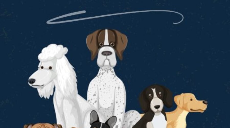 La socialización canina es, sin duda, uno de los pilares fundamentales en la educación y bienestar de nuestros perros.