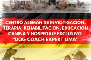 🐾 Hospedaje y Adiestramiento de Perros en Lima 🐾