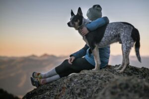 En esta guía completa, exploraremos cómo la educación canina efectiva puede transformar el comportamiento de tu perro, fomentar su bienestar y fortalecer el vínculo entre ambos.