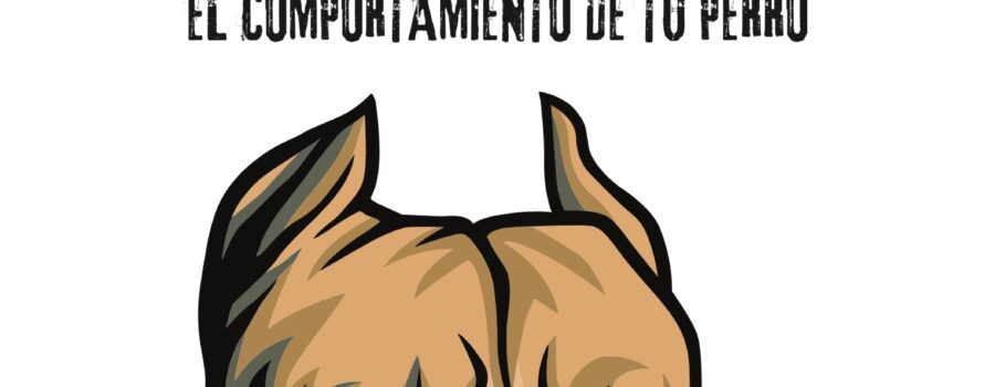 La agresividad en perros no es más que un comportamiento reactivo ante situaciones que perciben como una amenaza. Puede manifestarse en forma de gruñidos, ladridos, embestidas o mordidas.