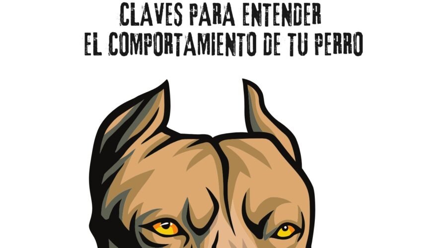 La agresividad en perros no es más que un comportamiento reactivo ante situaciones que perciben como una amenaza. Puede manifestarse en forma de gruñidos, ladridos, embestidas o mordidas.