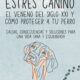 Estrés Canino: El Veneno del Siglo XXI y Cómo Proteger a tu Perro