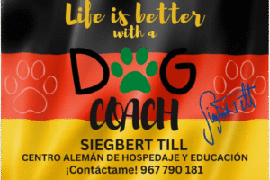 ¿Por qué un Centro Canino No es Sólo un Lugar: Mi Experiencia con Dog Coach Expert en Lima