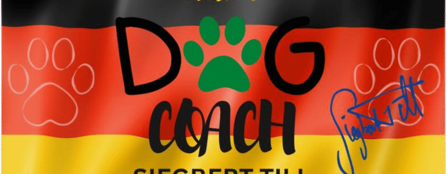 ¿Por qué un Centro Canino No es Sólo un Lugar: Mi Experiencia con Dog Coach Expert en Lima