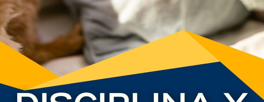 Un perro sin una educación adecuada puede desarrollar problemas de conducta como ansiedad, agresividad o falta de autocontrol.