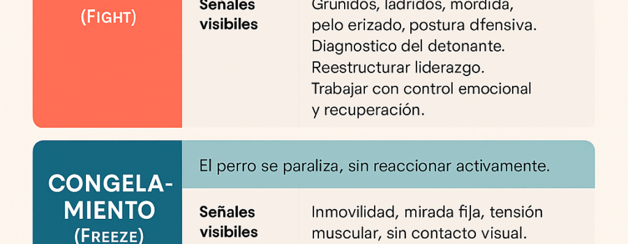 Los perros pueden mostrar otras reacciones comportamentales que forman parte de un espectro más amplio de adaptación o desregulación emocional frente a estímulos externos.