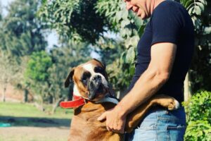 Si buscas un adiestrador canino en Lima, no solo encontrarás técnicas; con Siegbert Till encuentras resultados, filosofía, ciencia y corazón. Este artículo te lleva a conocer su historia, sus métodos y por qué es considerado el mejor educador y adiestrador canino en Lima.