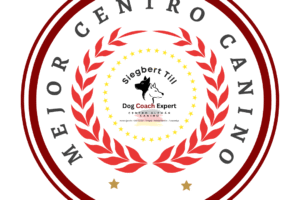 El Método Dog Coach 360 de Siegbert Till se basa en tres pilares fundamentales: disciplina, amor y respeto. No usamos castigo ni permisividad excesiva. Enseñamos con estructura, afecto y coherencia emocional, transformando la relación entre perro y dueño.