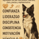 🦴 6 Pilares Fundamentales en la Educación Canina Moderna