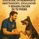 Dog Coach Expert Lima te ayuda en la educación, entrenamiento, adiestramiento, socialización y rehabilitación de tu perro
