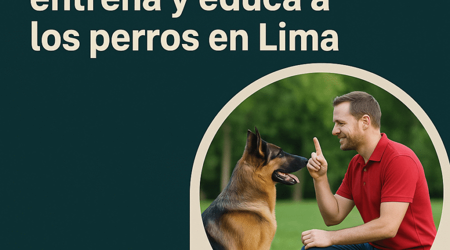 Dog Coach Expert entrena y educa a los perros en Lima: Un recorrido por cada barrio con amor y disciplina canina