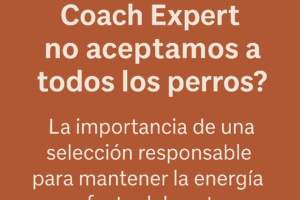 ¿Por qué en Dog Coach Expert no aceptamos a todos los perros?