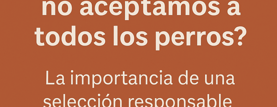 ¿Por qué en Dog Coach Expert no aceptamos a todos los perros?