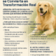 🐾 Dog Coach Expert: Donde la Educación Canina se Convierte en Transformación Real