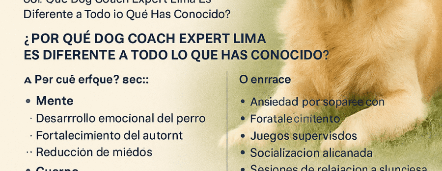 🐾 Dog Coach Expert: Donde la Educación Canina se Convierte en Transformación Real