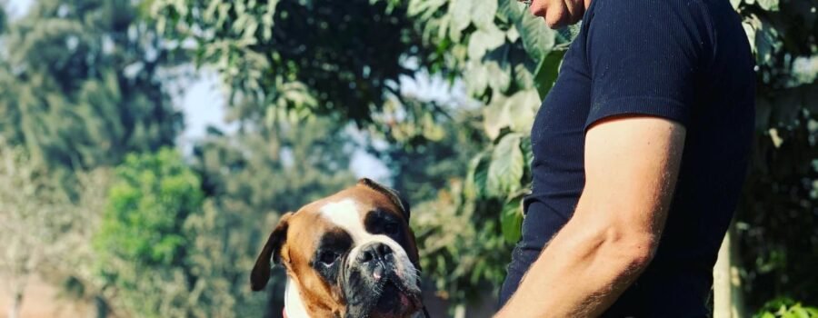 Por Qué Un Dueño Presente Hace Toda la Diferencia en un Hospedaje Canino: Mi Vida en Dog Coach Expert