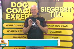 Perros Felices, Humanos Más Felices: Secretos Imprevistos del Adiestramiento Canino en Positivo