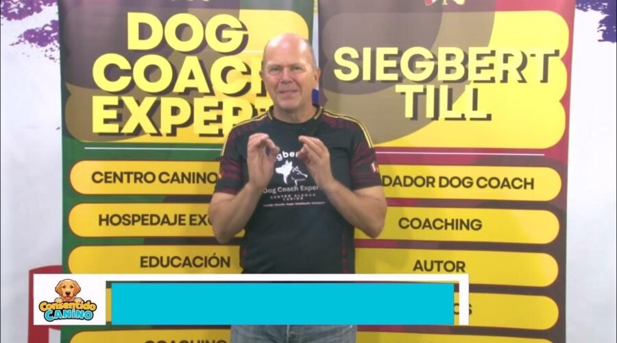 Perros Felices, Humanos Más Felices: Secretos Imprevistos del Adiestramiento Canino en Positivo