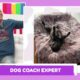 Más allá del adiestramiento: Cómo Dog Coach Expert transforma vidas caninas (y humanas)