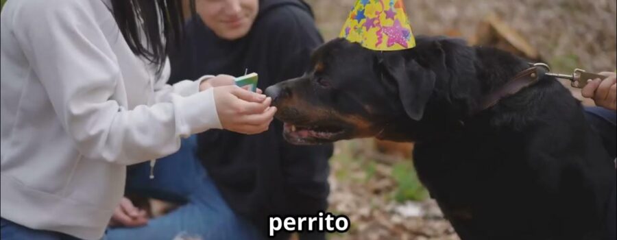 Liderazgo Canino: El Arte de Transformar la Relación con tu Perro Sin Gritos Ni Castigos