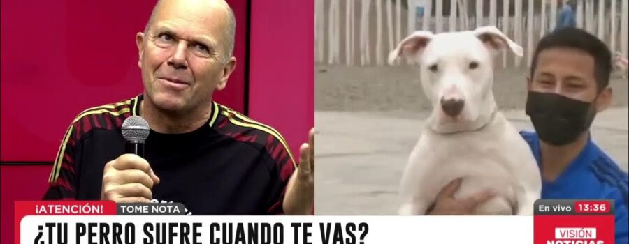 Cómo la Ansiedad por Separación en Perros Puede Cambiar la Dinámica Familiar (y Qué Hacer al Respecto)