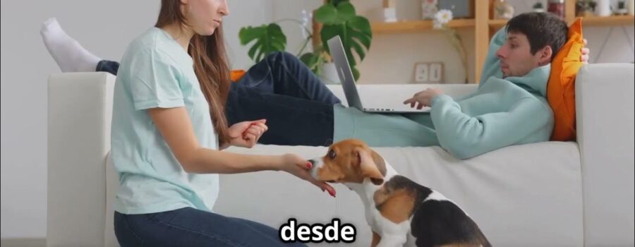 Cómo Convertí a Mi Perro en un Súper Compañero: 9 Comandos, un Toque Moderno y Mucha Paciencia